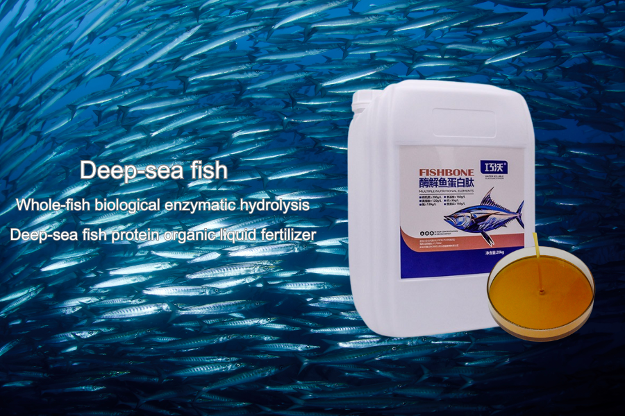 fish protein organic liquid fertilizer